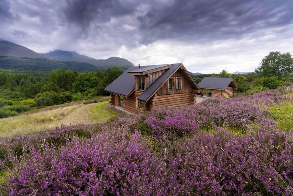 Wild Nurture Eco Luxury Offgrid Log Cabin Fort William Exterior foto